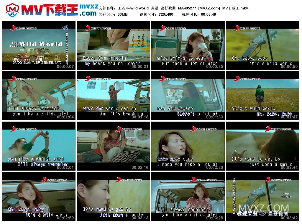 王若琳-wild world_英语_流行歌曲_MA405277